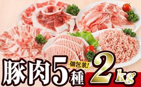 ＜1回配送＞ 豚肉 バラエティーパック (合計2kg) 豚バラ しゃぶしゃぶ 鍋 とんかつ ロース 小分け 個包装 豚こま 小間切れ スライス ミンチ 5種 セット 詰め合わせ 冷凍 食べ比べ 国産 大分県 佐伯市【BD320】【西日本畜産】