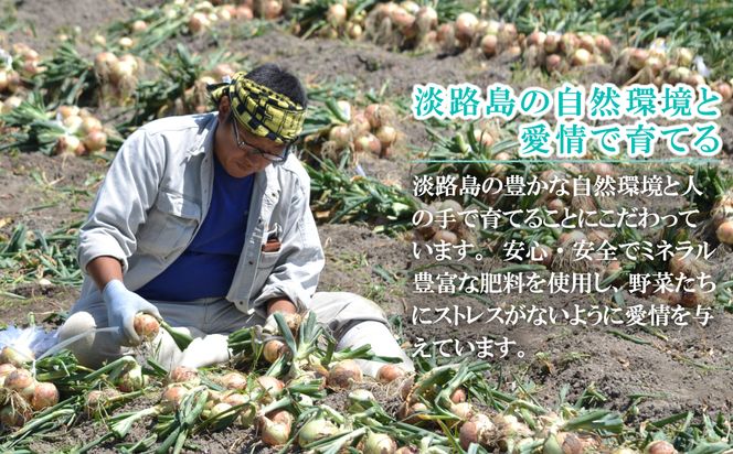 名手農園の淡路島産玉ねぎスープ 6g×60袋　 玉ねぎスープ