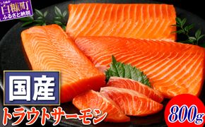 4-70　※2026年12月末までにお届け※国産トラウトサーモン【800g】