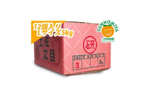 【先行予約】三宮果樹園の土佐文旦 ご家庭用Lサイズ 5kg〈2027年2月14日～2027年3月15日発送〉ぶんたん ブンタン 5キロ フルーツ 柑橘 みかん 果物 くだもの 柑橘類 デザート ご自宅用 ご家庭用 自分用 お取り寄せ おいしい 高知県 土佐市【三宮果樹園】[BQAP008]