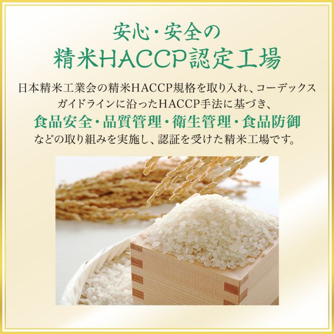 【3ヶ月定期便】魚沼産こしひかり 棚田米(十日町地域) 精米 2kg  米 お米 コシヒカリ 定期 十日町市