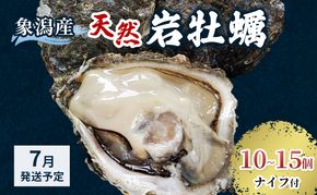 【 先行予約 7月上旬～下旬発送予定】象潟産 天然岩牡蠣 10～15個 ナイフ付【 牡蠣 夏牡蠣 かき 象潟 生食可 魚介類 海鮮 海産物 海の幸 】