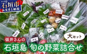 嶺井さんの石垣島旬の野菜詰合せ（大セット）OI-23
