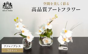 エミリオロバ　ファレノプシス3点セット