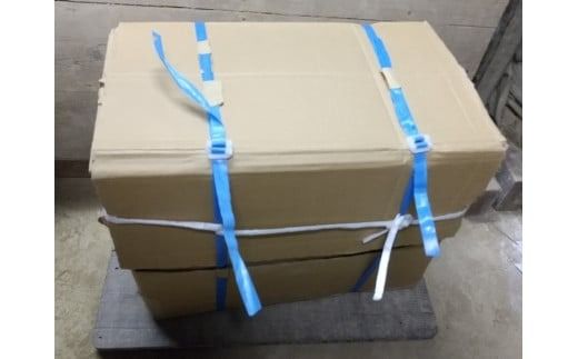 伝統工芸士の鬼師が作る 『シーサー 大サイズ 2体 』 狛犬 獅子 1対 開運 魔除 三州鬼瓦 工芸品 H064-031