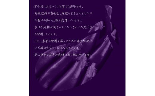 【CF-R7hbk】【先行予約】KYN001　茄子（1本約70g）約20本入り - 高知県産 芸西村 ナス なす 野菜 新鮮 お取り寄せ 美味しい 煮浸し 味噌汁 麻婆茄子 料理 ふるさとのうぜい 故郷納税 7000円 返礼品 高知県 高知