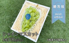 ぶどう 2026年 先行予約 贈答用 シャインマスカット 1房(700g以上) ブドウ 葡萄 岡山県 赤磐市産 フルーツ 果物 ギフト 
