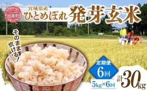 【6回定期便】 簡単に炊ける 宮城県産 ひとめぼれ 発芽玄米 5kg 計30kg(5kg×6回) [菅原商店 宮城県 加美町] 米 こめ コメ 玄米 発芽玄米 ご飯 | sg-hb05-hg-t6
