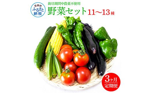 【CF-R7hbk】t138slv　野菜セット（11‐13種類）《3カ月定期便》 栽培期間中農薬不使用！ 季節の野菜 定期コース 定期 無農薬 野菜 やさい 新鮮 自然 健康 セット 詰め合わせ 冷蔵 美味しい おいしい 食べ物 食材 秋 旬の味覚 ご当地 お取り寄せ 芸西村 30000円 故郷納税 返礼品