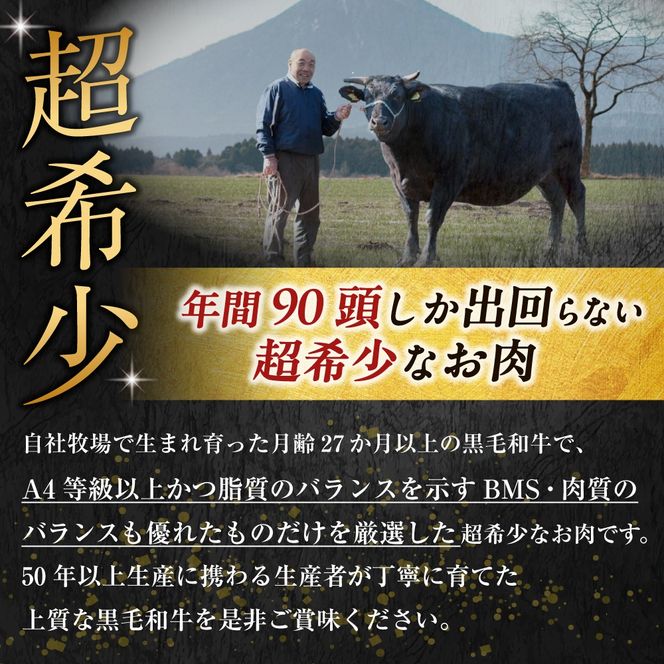 宮崎県西ノ原牧場・なかにしプレミアム和牛サーロインステーキ 540g（国産 牛肉 肉 黒毛和牛 お肉 赤身 サーロインステーキ ステーキ 限定)