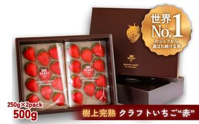 【完熟クラフト苺BERRY】有名シェフ御用達【樹上完熟赤いちご】約500g（出荷2026年12月上旬～2027年5月下旬）【yuji0009】