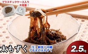 【ふるさと納税】生産量日本一！うるま市勝連産の生もずく（お徳用）2.5kg　生もずく　沖縄　手軽　贈り物　冷凍　天ぷら　沖縄そば　ミネラル　海　沖縄　うるま市　勝連　海藻