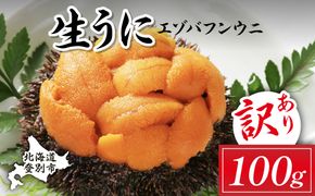 【ミョウバン不使用】無添加 エゾバフンウニ 塩水パック 100g｜濃厚な甘み 鮮度抜群 生うに 雲丹 高級 おつまみ ふるさと納税 北海道 登別市