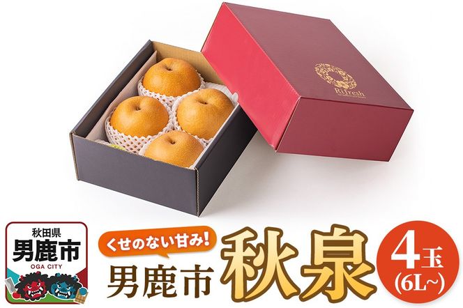 【令和8年度 早期受付】秋泉 梨 4玉 6L～ 梨 なし ナシ 秋田県 男鹿市 旬の果物 フルーツ|23_fre-050401