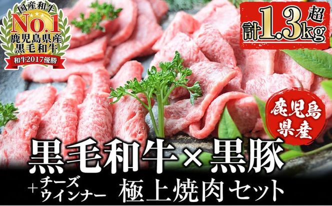 【鹿児島県産黒毛和牛・黒豚】お家でいただく極上 焼肉セット(チーズウインナー＆タレ付き)計1.3kg以上！ b5-202