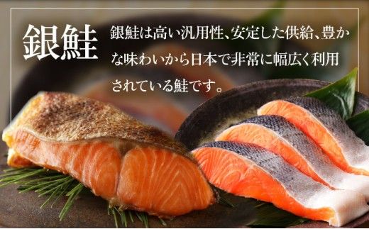 【選べる配送時期】骨取り 銀鮭切り身 1kg（2切×5P） | 銀鮭 切身 鮭 切り身 骨取り 銀鮭 塩銀鮭 1kg 小分け 真空パック 冷凍 syake 登別市