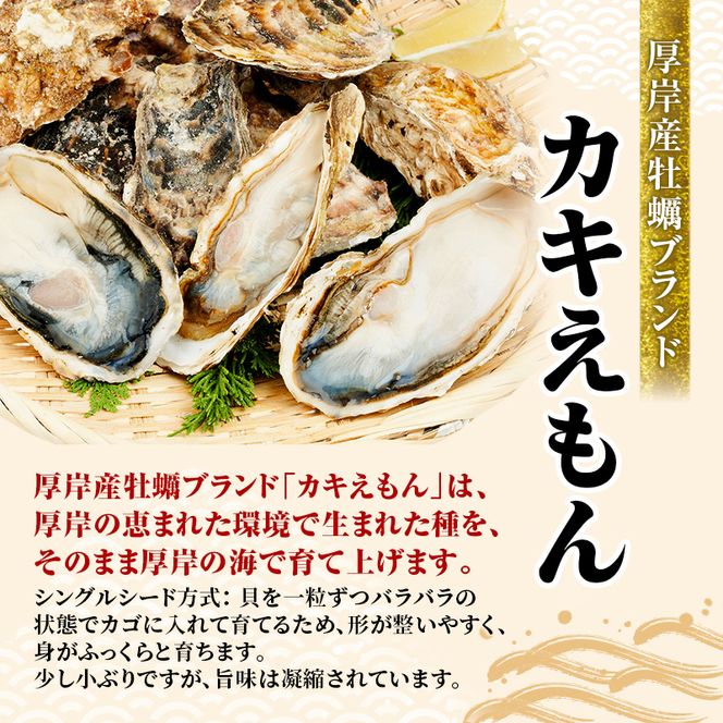 牡蠣 厚岸のブランド牡蠣 生食用 カキえもん Mサイズ 10個  [ 魚貝類 海鮮 海のミルク 国産 生食用殻付き牡蠣 まろやか クリーミー 食べやすい品種 海の香り 牡蠣の酒蒸し 焼き牡蠣  ]