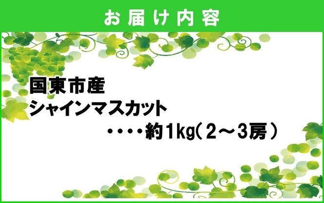 テレビで紹介されました！【先行予約】【令和8年発送】農家直送！ 新鮮！ 朝づみ シャインマスカット 1kg (2～3房) フルーツ 果物 贈答 大分県産 採れたて_2537R-1