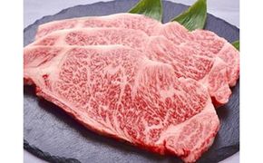 極上但馬牛 サーロインステーキ 1kg / 但馬牛 黒毛和牛 霜降り サーロイン ステーキ 赤身 ステーキ肉 焼肉 国産牛 和牛 肉 牛肉 特産品 お祝い ギフト【但馬ビーフはまだ】