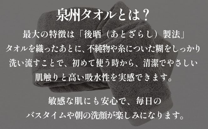 099H3726 【スピード発送】プレミアムタオル グレー 3枚セット【バスタオル 1枚 フェイスタオル 2枚 上質 泉州タオル ギフト 贈り物】