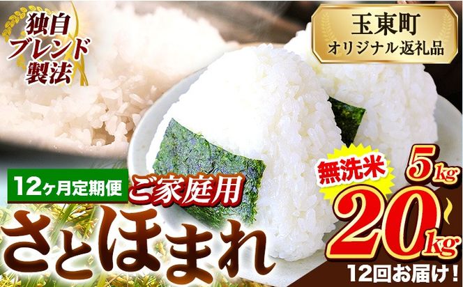 【12ヶ月定期便】熊本県産 さとほまれ 無洗米 ご家庭用 定期便 選べる 5kg 10kg 15kg 20kg 《申込み翌月から発送》熊本県 玉名郡 玉東町 米 こめ コメ ブレンド米 送料無料---gkt_sthmltei_5kg_174000_mo12---