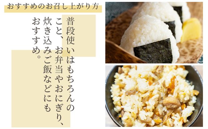ミルキークイーン 定期便 ６回 特別栽培米 ミルキークイーン ５ｋｇ 令和８年産 - 定期便 お米 米 白ご飯 ごはん 精米 お弁当 おにぎり おむすび 炊き込みご飯 美味しい 防災 非常食 高知県 香南市 常温 Wsr-0006
