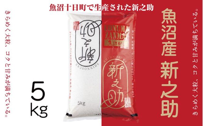 令和7年産 魚沼産 新之助 5kg 米 お米 コメ プレミアム米 新潟 魚沼 魚沼産 白米 送料無料 新潟県産 精米 産直 産地直送 契約農家 お取り寄せ 魚沼三昧 川治米店 新潟県 十日町市 大粒 甘み 