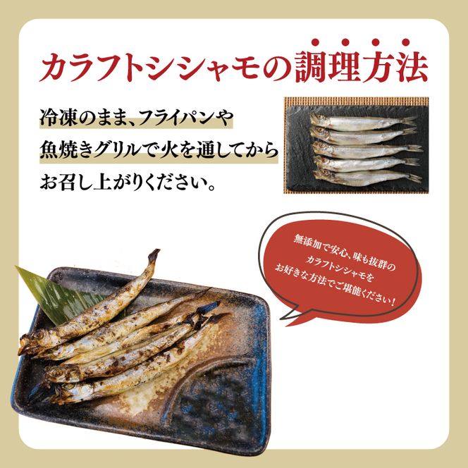 ししゃも 子持ち カラフトシシャモ 超特大 5尾 5パック 子持ちシシャモ カラフトししゃも 大洗 焼くだけ 簡単調理