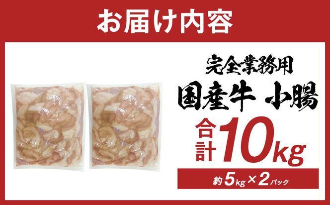 《完全業務用》国産牛　小腸　10kg 372013_HM183