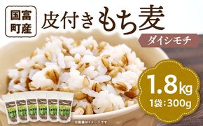 皮付きもち麦(ダイシモチ）300g×6袋