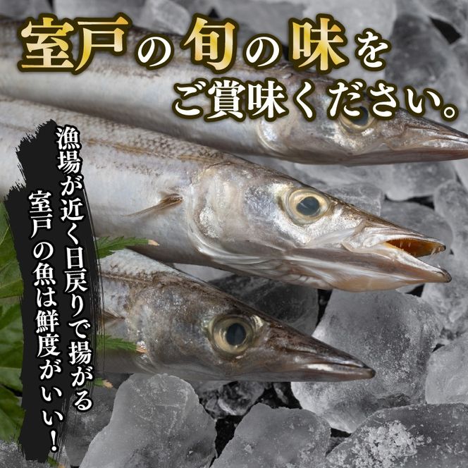 脂乗り抜群 トロカマス 干物 8枚 室戸海洋深層水仕込み | 国産魚 高知県室戸市 いずま海産 創業50年 魚介 海鮮 惣菜 冷凍 ギフト BBQ おかず 酒の肴 送料無料