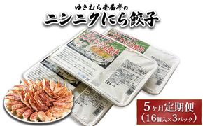 【5ヶ月定期便】ゆきむら壱番亭のニンニクにら餃子3パック(48個入り) ※離島への配送不可