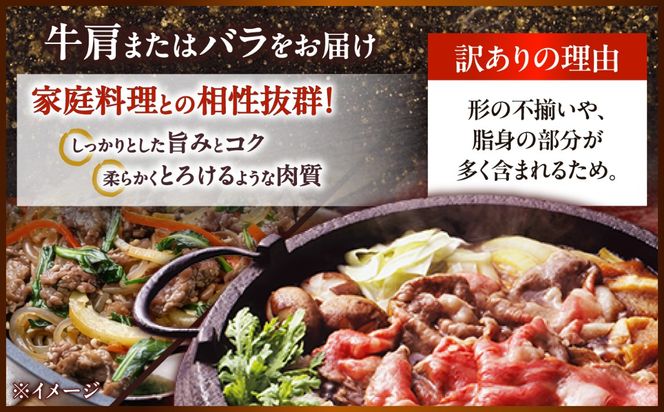 【訳あり】【A4〜A5】長崎和牛切り落とし 1kg（250g×4p）/ 牛肉 ぎゅう肉 和牛 / 南島原市 / 株式会社MEAT PLUS[SHG038]