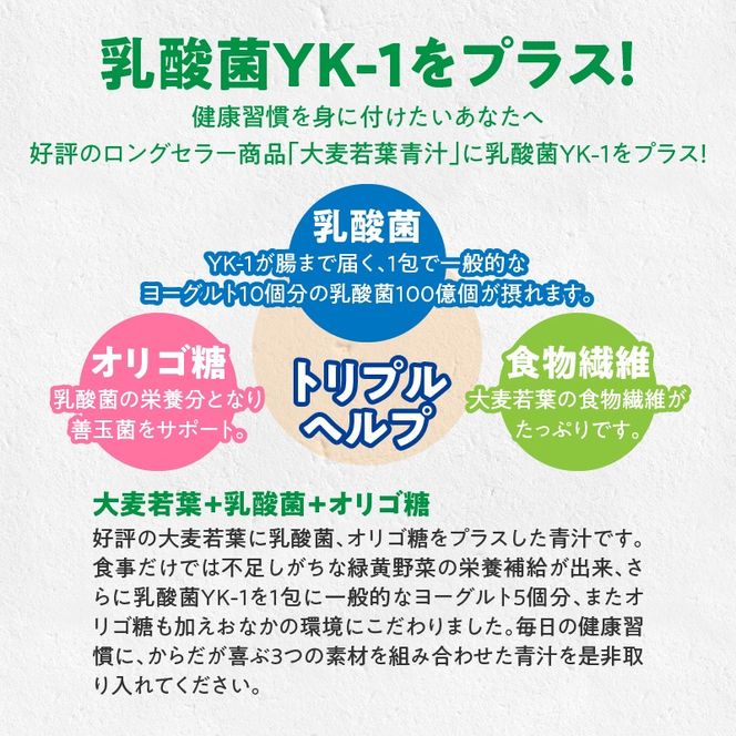 ＜2ヶ月に1度、6回送付＞乳酸菌＋大麦若葉粉末60H［027Y24-T］　山本漢方　定期便