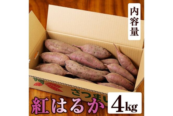 a174 畑の金貨・紅はるか4kg(生芋)【甘いも販売所】姶良市 国産 さつま芋 サツマイモ べにはるか 貯蔵 熟成 蜜芋 蜜いも さつまいも