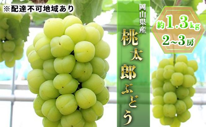 ぶどう 2026年 先行予約 桃太郎ぶどう約1.3kg 2～3房 ブドウ 葡萄  岡山県産 国産 フルーツ 果物 ギフト