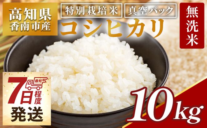 ymszy7xŔz msY ʍ͔| ^pbN RVqJ 10kg - Y    Ђ  ͂ ɂ ނ  _ƌ m s 퉷 nu-0004