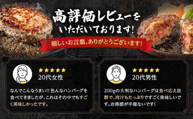 北海道 十勝牛 手ごねハンバーグ 200g×22個【 セット 牛100% 国産牛 牛肉 ハンバーグ 惣菜 小分け 冷凍 牛肉100% 大きい 国産 北海道 十勝 幕別 ふるさと納税 送料無料 】 