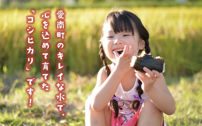 先行予約 新米 令和7年産 コシヒカリ 5kg 13000円 お米 白米 精米 米 こめ 産地直送 国産 農家直送 期間限定 数量限定 特産品 先行 事前 受付 令和7年度産 2025年産 もっちり 粘り 甘み おいしい おにぎり こしひかり 内祝い お祝い 贈答品 お返し プレゼント ギフト 土産 御礼 お礼 お取り寄せ えひめ南農業協同組合 愛南町 愛媛県