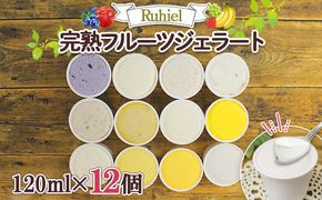 北海道 Ruhiel 完熟フルーツジェラート 120ml 12個セット アイス 詰め合わせフルーツ 果物 牛乳 自家製 スイーツ ジェラート パーティー お取り寄せ ギフト デザート ルヒエル 倶知安町 お菓子 