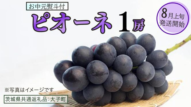 y錧vszy  lt z sI[l P[ y2026N8{Jnz(錧ʕԗiFq) uhE Ԃǂ  sI[l ʕ t[c ʎ