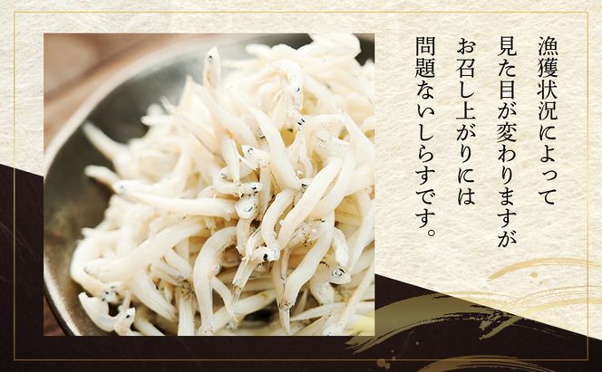 数量限定訳ありしらす干し1kg×2 しらす 不揃い 訳アリ 魚 魚介 海の幸 ごはんのお供 おかず 九十九里町 千葉県