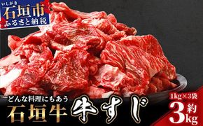 石垣牛・牛すじ 3kg (1kg×3) 冷凍便 | 沖縄県 石垣市 牛肉 お肉 牛スジ 牛筋 煮込み おでん カレー SI-086