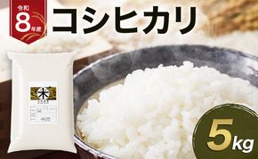 令和8年産 コシヒカリ 5kg  米 コメ コシヒカリ  単一原料米 精米 白米 透明感 優しい甘み 旨味 卵かけご飯 塩むすび 袋井市 静岡県