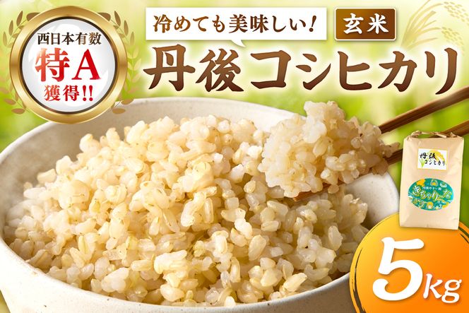 3月発送：直売所直送「令和7年産　京丹後市産　コシヒカリ」　玄米5kg ふるさと納税 米 玄米 特A 検査1等米 国産 こめ ごはん 京都産 コシヒカリ 農家応援 生産者応援 送料無料　JA00081S_03