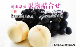 桃 ぶどう 2026年 先行予約 果物詰合せ 白桃 2玉（1玉200g以上） ニュー ピオーネ 2房（合計約940g）化粧箱入り 岡山県産 国産 フルーツ 果物 ギフト 贈り物 セット [№5735-1450]