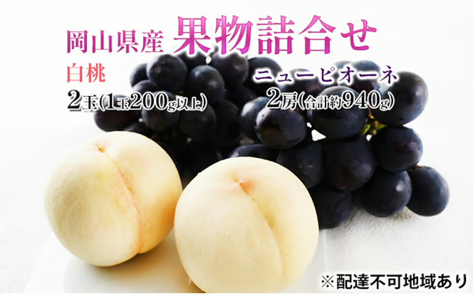 桃 ぶどう 2026年 先行予約 果物詰合せ 白桃 2玉（1玉200g以上） ニュー ピオーネ 2房（合計約940g）化粧箱入り 岡山県産 国産 フルーツ 果物 ギフト 贈り物 セット [№5735-1450]