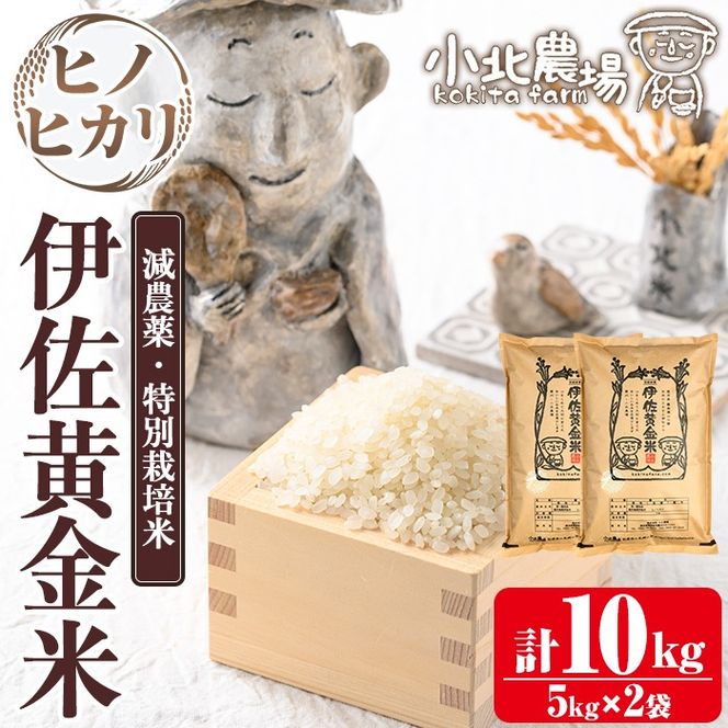 isa600 《数量限定》令和7年産 小北農場のお米 伊佐黄金米〈ヒノヒカリ〉(10kg) 鹿児島 伊佐 お米 特別栽培米 伊佐米 白米 ヒノヒカリ ひのひかり おにぎり ごはん 【小北農場】