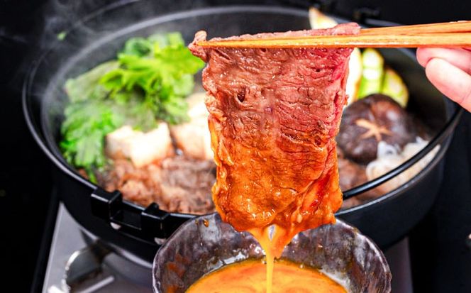 【全6回定期便】 博多和牛が 毎月2人前 届く！ 月替わり お楽しみ 定期便 （ハンバーグ / 肩ロース スライス / サーロイン ステーキ / カルビ / モモブロック / ヒレ ステーキ）  糸島市 / 幸栄物産 牛肉 セット 焼肉 すき焼き[ABH049]