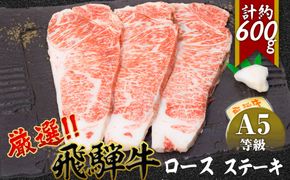 店主こだわり雌牛 飛騨牛A5等級　ロースステーキ　計約600g [No.068]